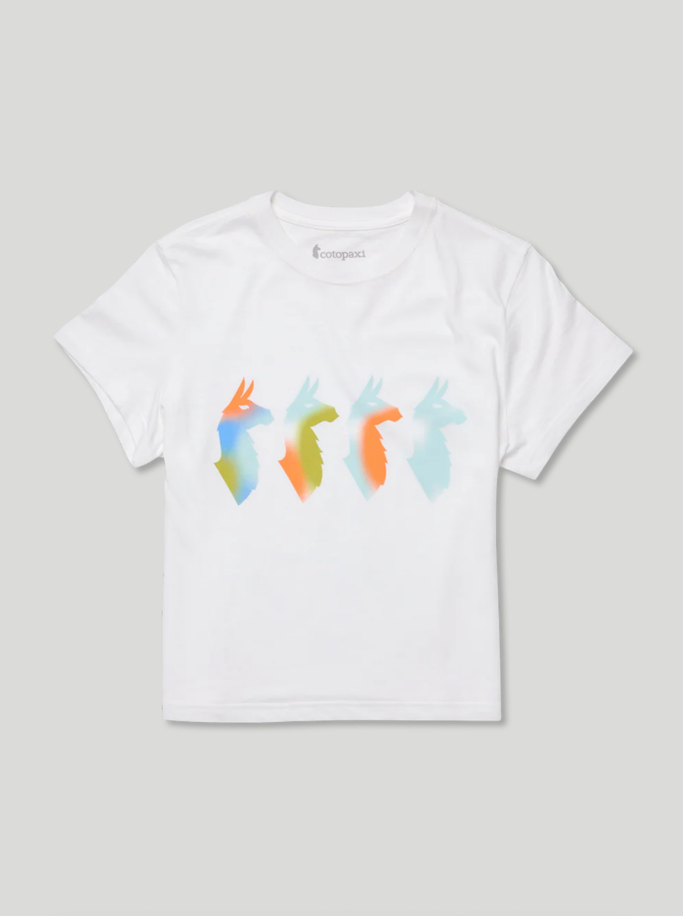 Cotopaxi Cuatro Bitmap T-Shirt Women's White