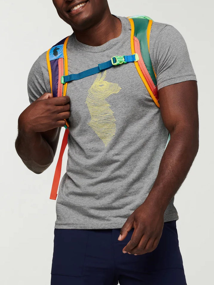 Cotopaxi Batac 24L Daypack - Del Dia