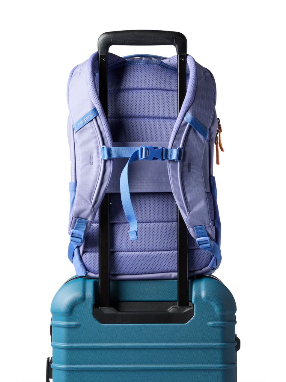 Cotopaxi Allpa 18L Daypack Aster